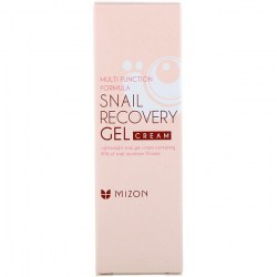 Купить гель-крем для лица Mizon Multi Function Formula Snail Recovery Gel Cream